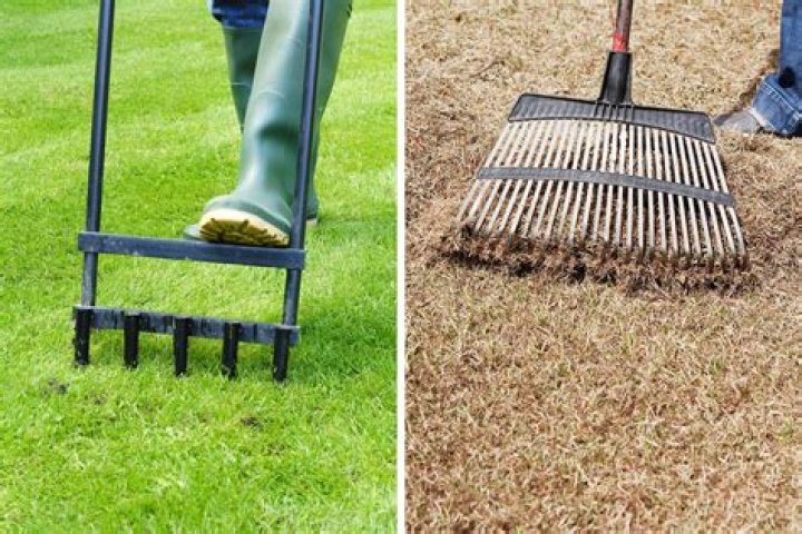 Is dethatching the same as raking?